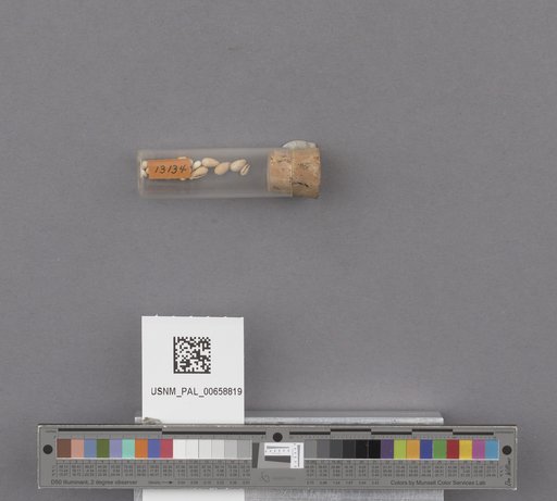 NSF ADBC EPICC TCN