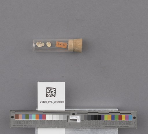 NSF ADBC EPICC TCN