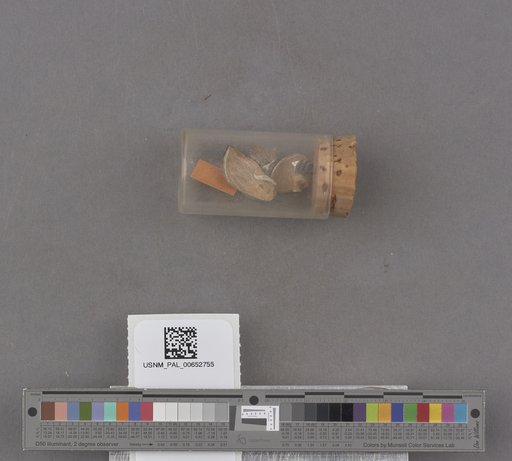 NSF ADBC EPICC TCN