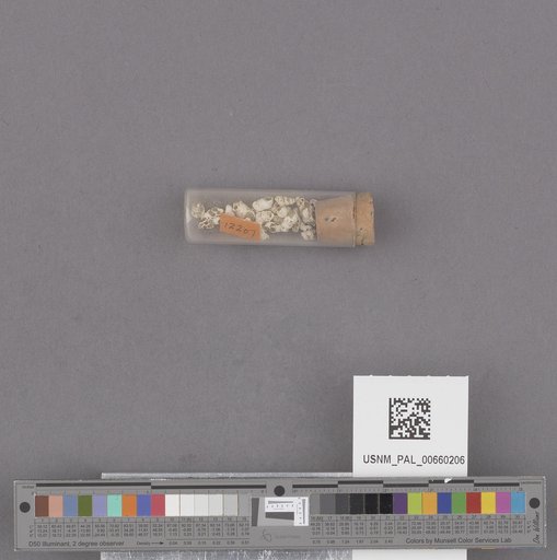 NSF ADBC EPICC TCN