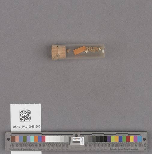 NSF ADBC EPICC TCN