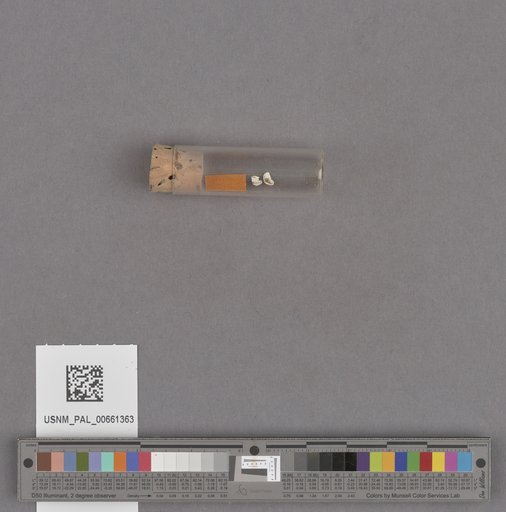 NSF ADBC EPICC TCN