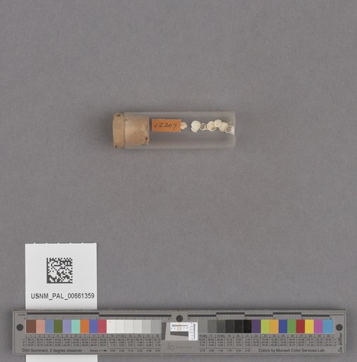 NSF ADBC EPICC TCN