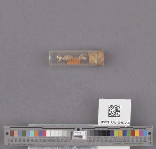 NSF ADBC EPICC TCN