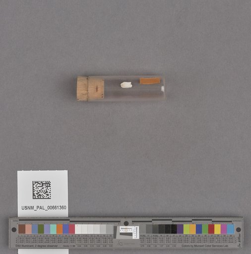 NSF ADBC EPICC TCN