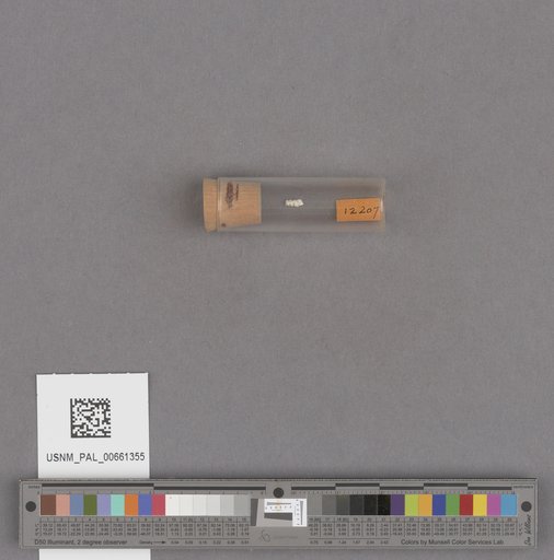 NSF ADBC EPICC TCN