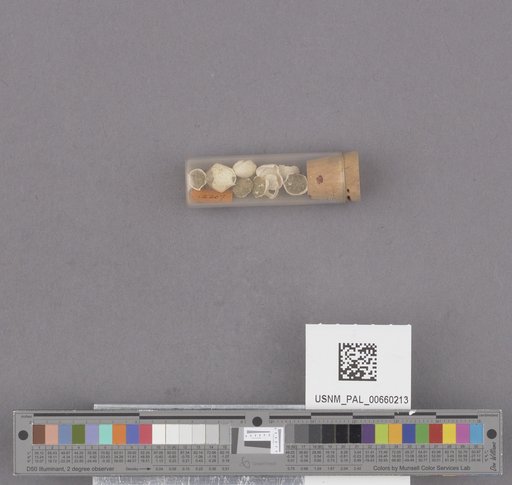 NSF ADBC EPICC TCN