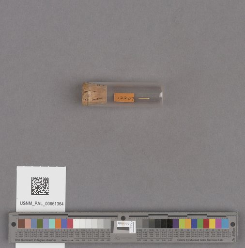 NSF ADBC EPICC TCN