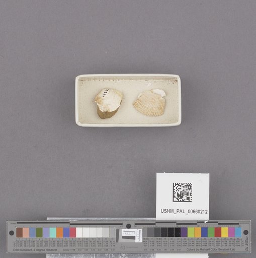 NSF ADBC EPICC TCN