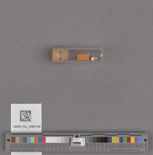 NSF ADBC EPICC TCN