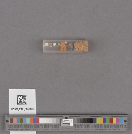 NSF ADBC EPICC TCN