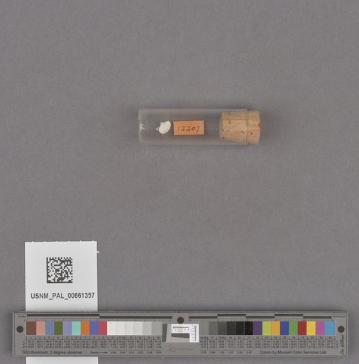 NSF ADBC EPICC TCN