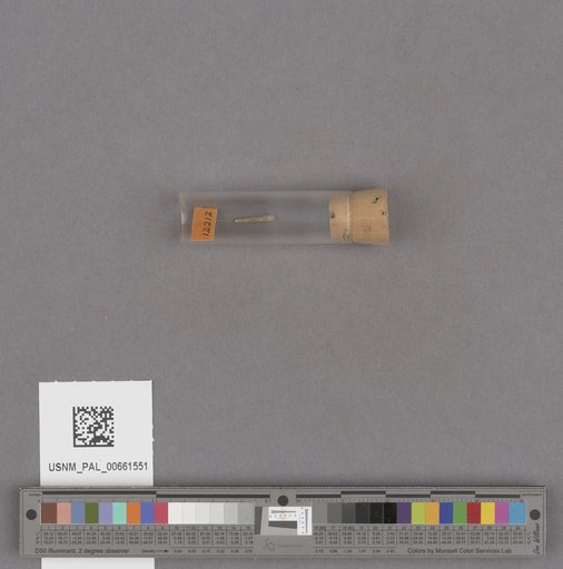 NSF ADBC EPICC TCN