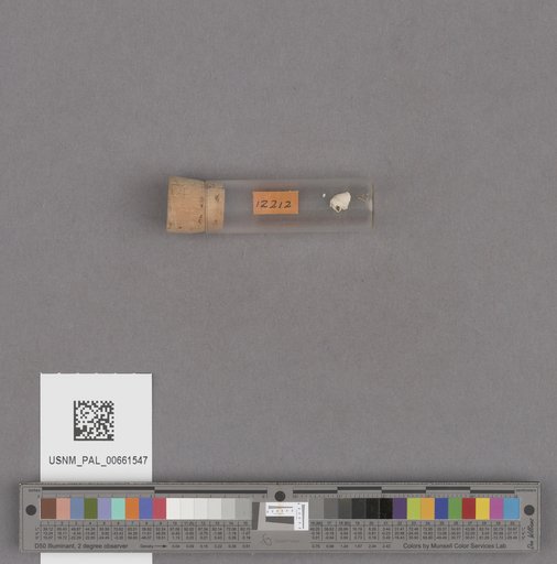 NSF ADBC EPICC TCN