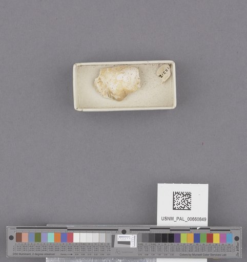 NSF ADBC EPICC TCN