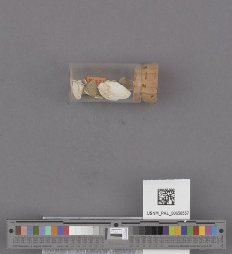 NSF ADBC EPICC TCN