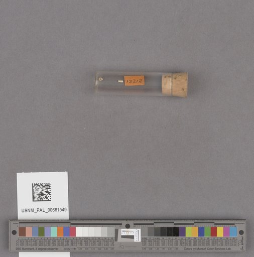 NSF ADBC EPICC TCN