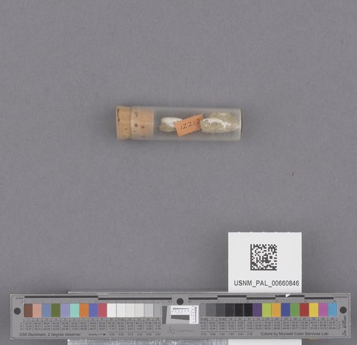 NSF ADBC EPICC TCN