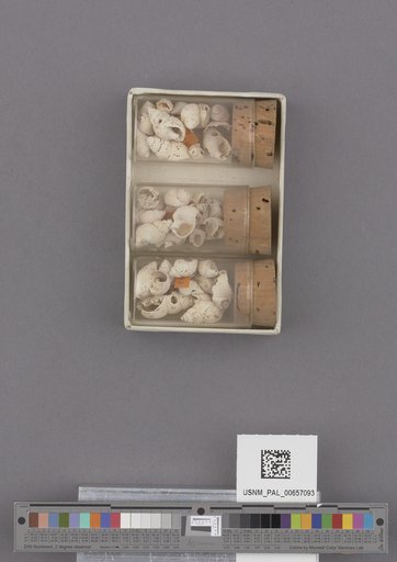 NSF ADBC EPICC TCN