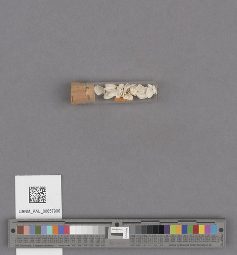 NSF ADBC EPICC TCN