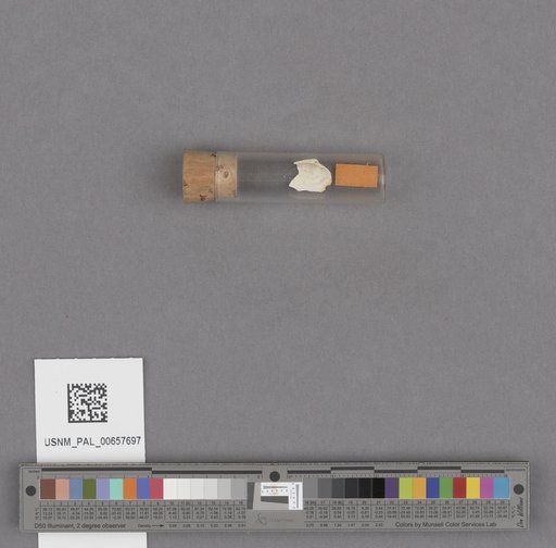 NSF ADBC EPICC TCN