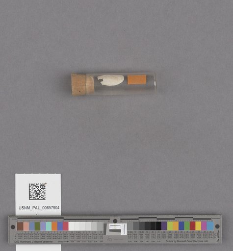 NSF ADBC EPICC TCN