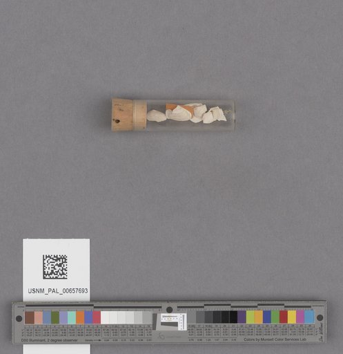 NSF ADBC EPICC TCN