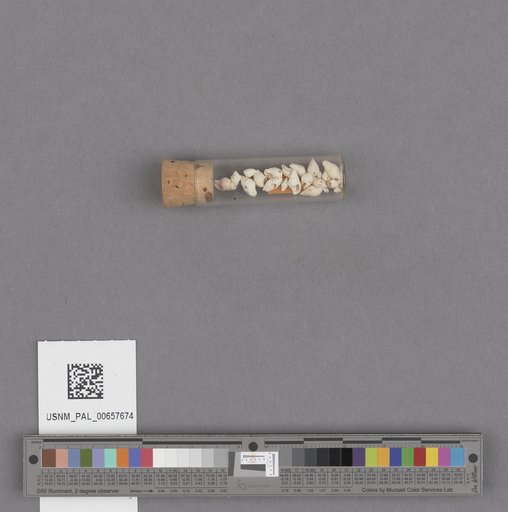 NSF ADBC EPICC TCN