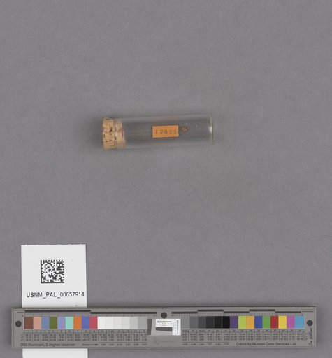 NSF ADBC EPICC TCN