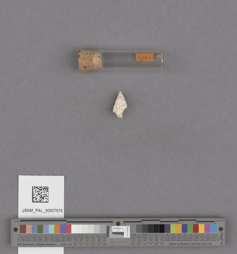 NSF ADBC EPICC TCN