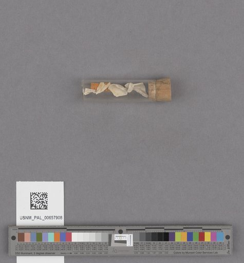 NSF ADBC EPICC TCN