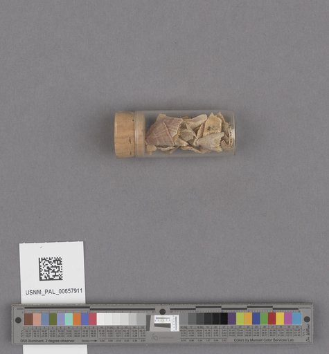 NSF ADBC EPICC TCN