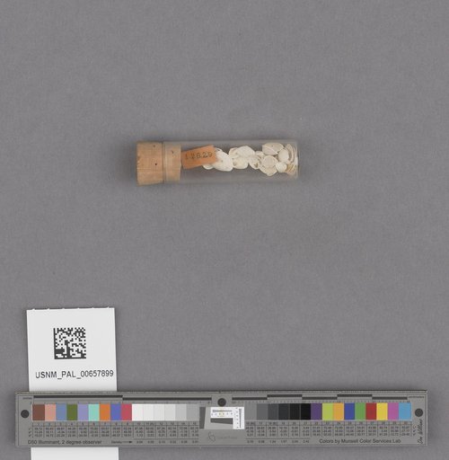 NSF ADBC EPICC TCN