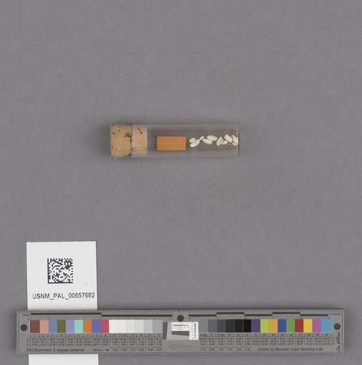 NSF ADBC EPICC TCN