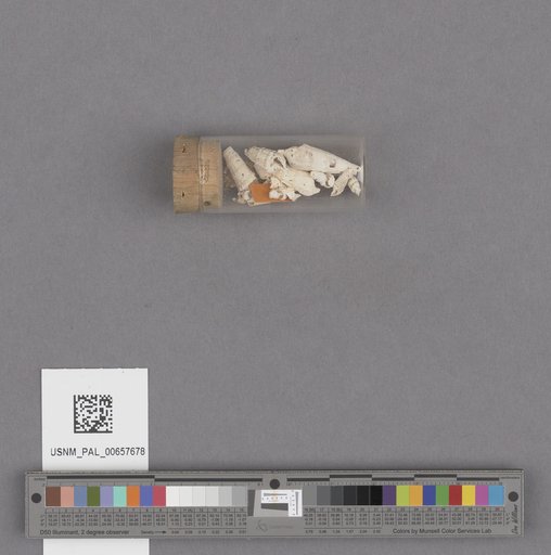 NSF ADBC EPICC TCN
