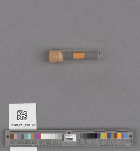 NSF ADBC EPICC TCN