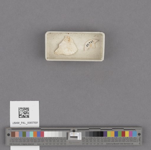 NSF ADBC EPICC TCN