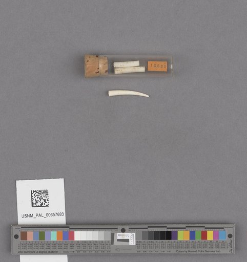 NSF ADBC EPICC TCN