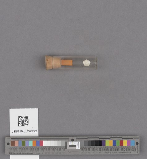 NSF ADBC EPICC TCN