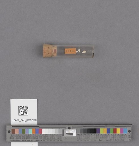 NSF ADBC EPICC TCN