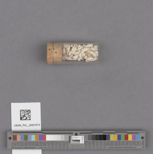 NSF ADBC EPICC TCN