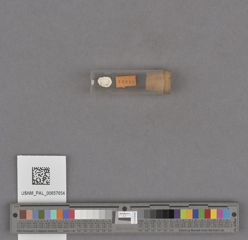 NSF ADBC EPICC TCN