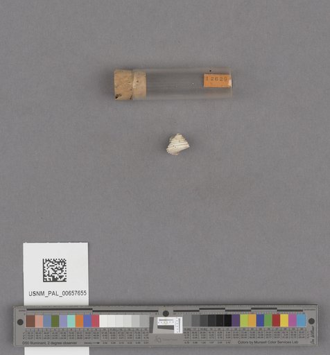NSF ADBC EPICC TCN