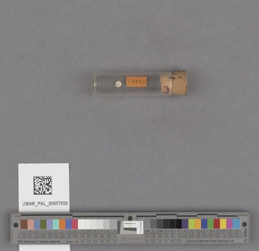 NSF ADBC EPICC TCN