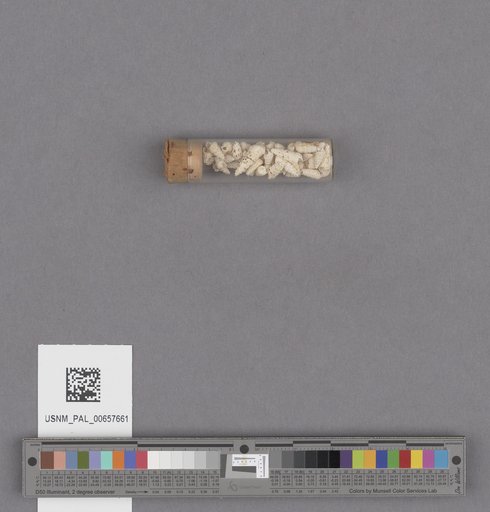 NSF ADBC EPICC TCN