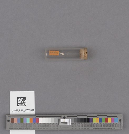NSF ADBC EPICC TCN