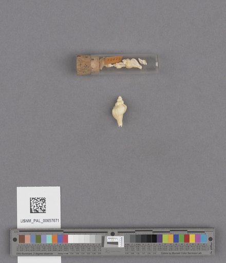 NSF ADBC EPICC TCN