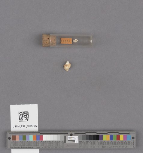 NSF ADBC EPICC TCN