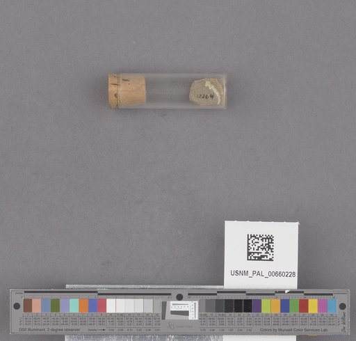 NSF ADBC EPICC TCN