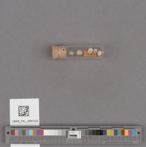 NSF ADBC EPICC TCN